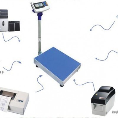 TCS-3040/60公斤便携式电子秤连计算机配置