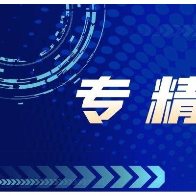 淄博市企业申报专精特新的专项条件指标要求