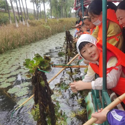 苏州少儿自然探索忆童年采菱营地教育研学旅行社会实践课报名了