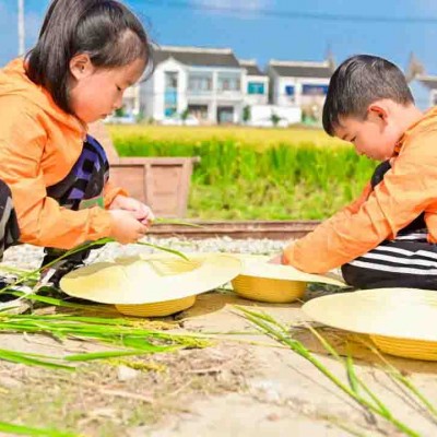 苏州三六六研学旅行户外拓展活动挖红薯割稻子探索体验课报名中