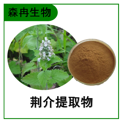 森冉生物 荆介提取物 线芥提取物 植物提取原料粉